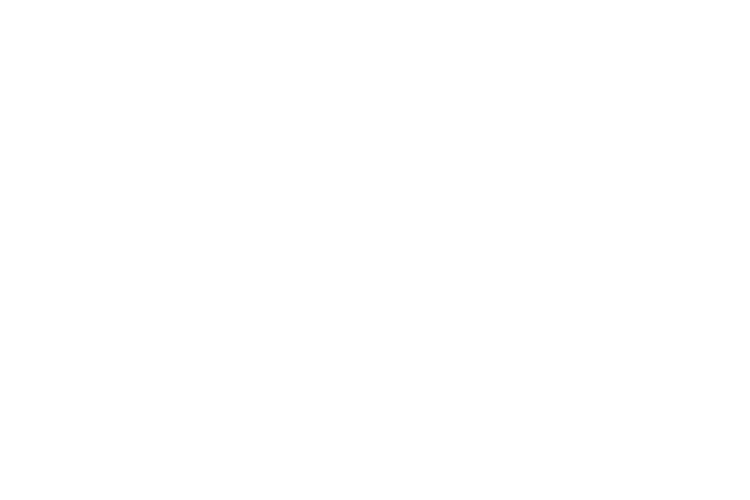 Coastal Foraging